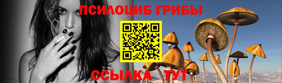 Алейск  Галлюциногенные грибы мицелий  Галлюциногенные грибы Psilocybe  Вход с VPN 